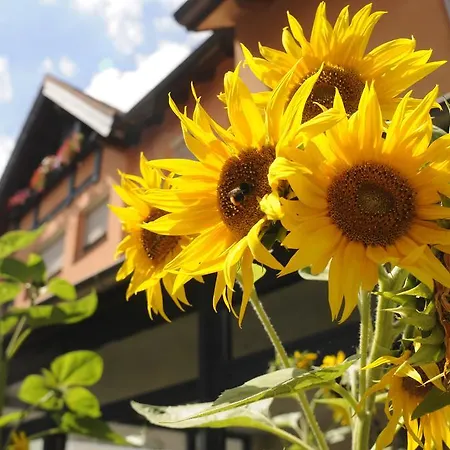 Bio Bayerischer Wirt Hotel